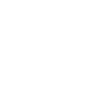 Warranty